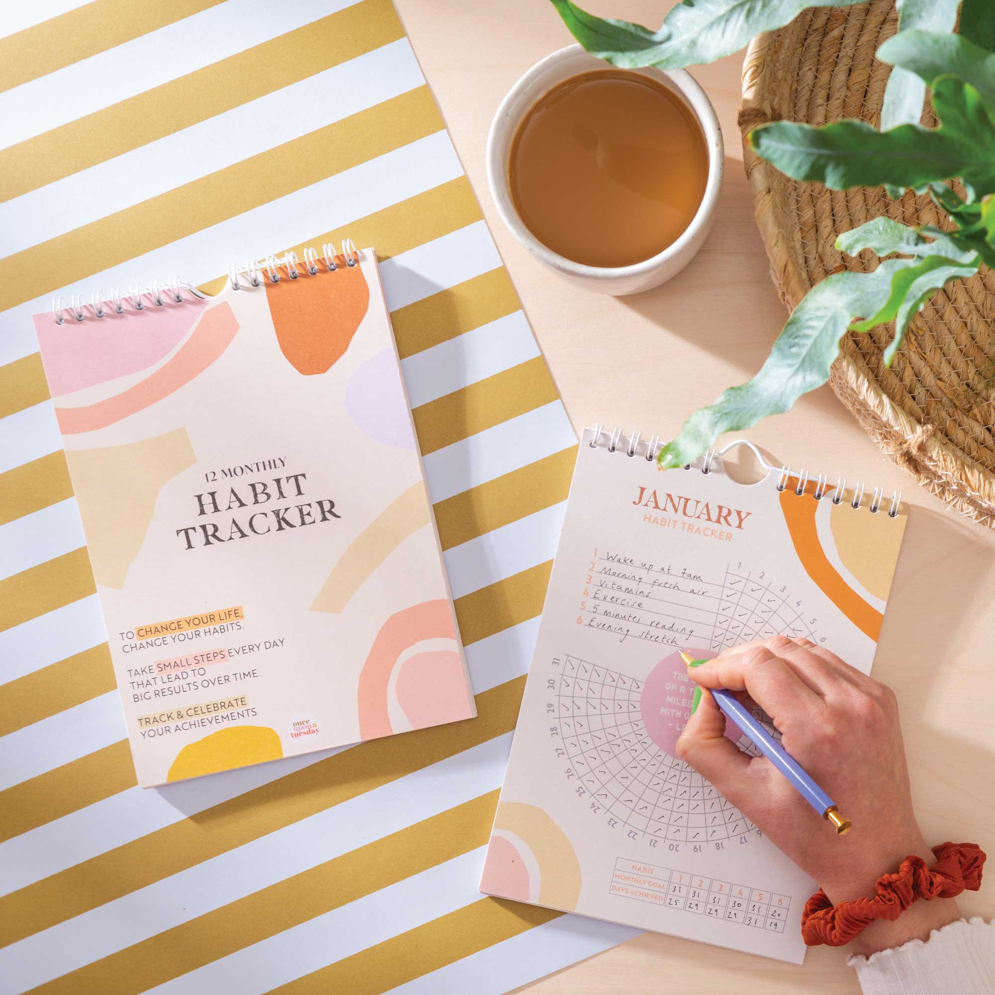 Daily Habit Tracker | 12 Month Goal Planner | Pastel Organic - Image 4