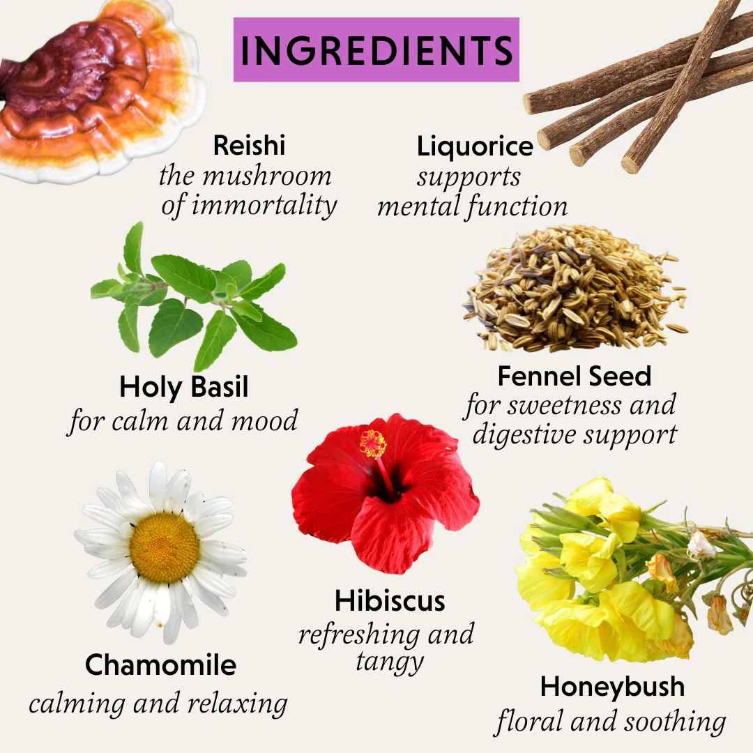 Good Night Organic Herbal Tea - Image 3