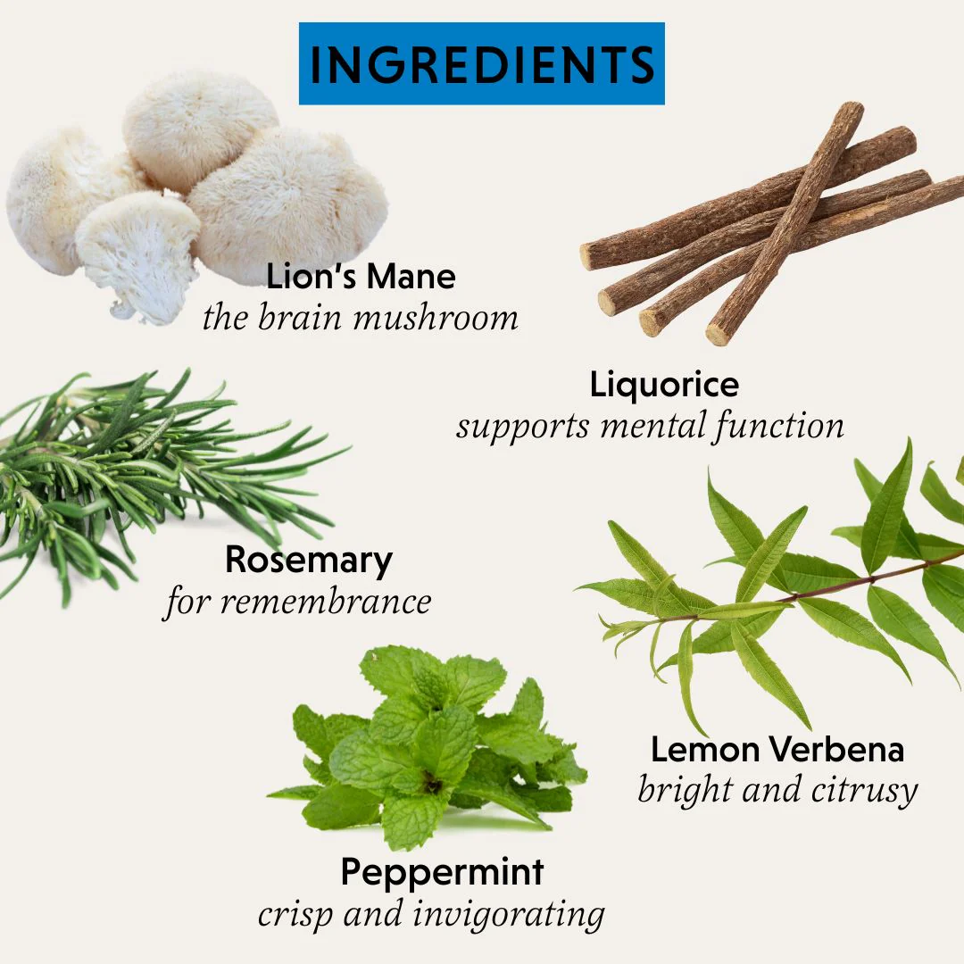 Pure Focus Organic Herbal Tea - Image 3