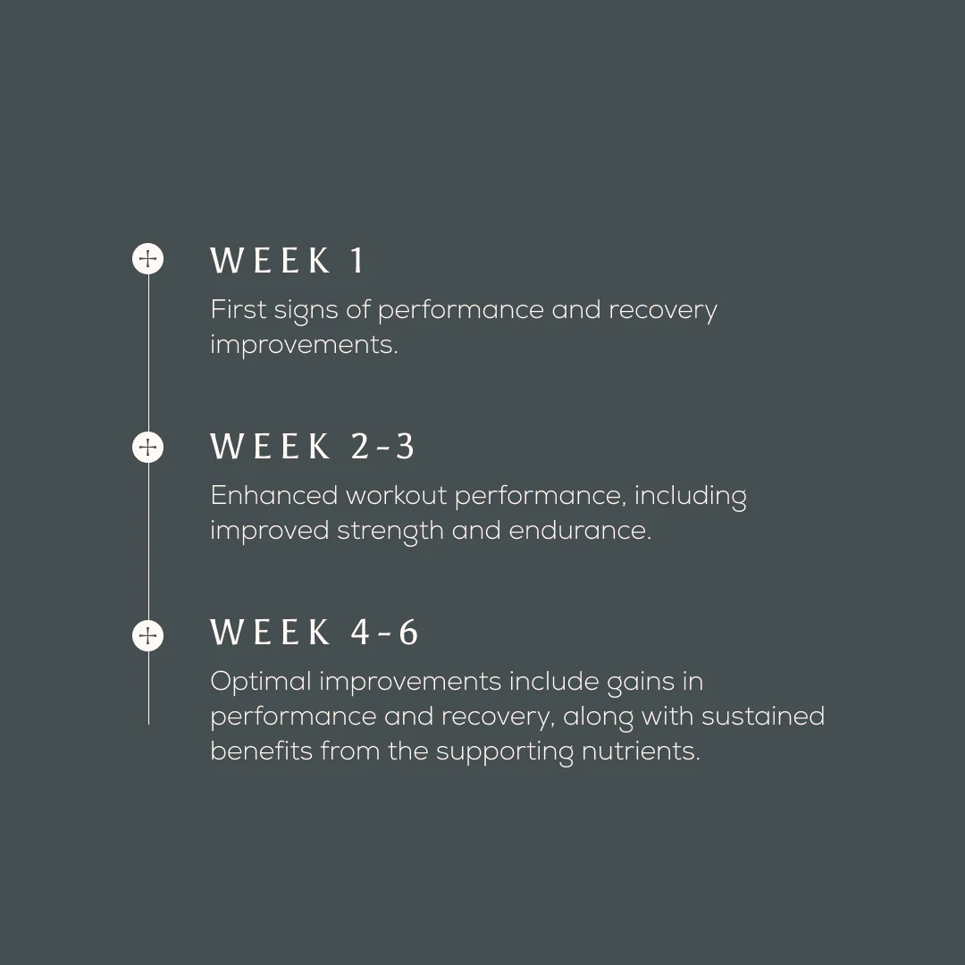 True Creatine+ - Image 6